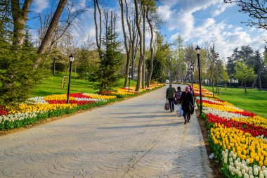 Emirgan Parkı, Sarıyer semtinde yer alan tarihi bir kent parkı geleneksel Lale Festivali. Turistler ve yerliler için ziyaret edin ve zaman harcamak. Istanbul,Turkey.15 Nisan, 2017