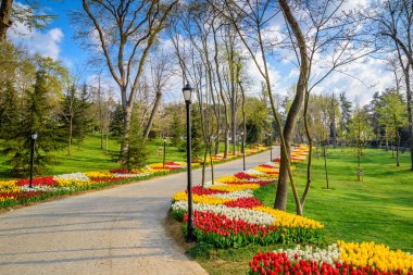 Emirgan Parkı, Sarıyer semtinde yer alan tarihi bir kent parkı geleneksel Lale Festivali. Turistler ve yerliler için ziyaret edin ve zaman harcamak. Istanbul, Türkiye