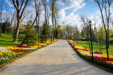 Emirgan Parkı, Sarıyer semtinde yer alan tarihi bir kent parkı geleneksel Lale Festivali. Turistler ve yerliler için ziyaret edin ve zaman harcamak. Istanbul, Türkiye