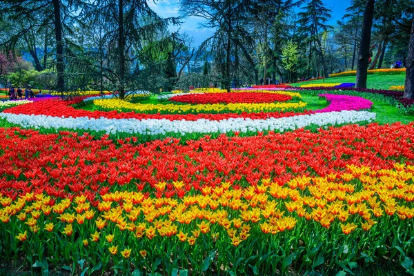 Emirgan Parkı, Sarıyer semtinde yer alan tarihi bir kent parkı geleneksel Lale Festivali. Turistler ve yerliler için ziyaret edin ve zaman harcamak. Istanbul,Turkey.15 Nisan, 2017