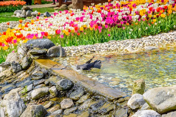 Traditionell Tulip Festival Emirgan Park Historisk Stadspark Ligger Sariyer Distrikt — Stockfoto