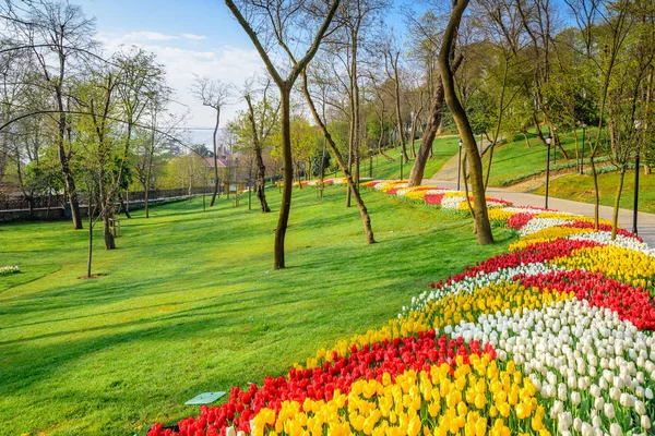Emirgan Parkı, Sarıyer semtinde yer alan tarihi bir kent parkı geleneksel Lale Festivali. Turistler ve yerliler için ziyaret edin ve zaman harcamak. Istanbul, Türkiye