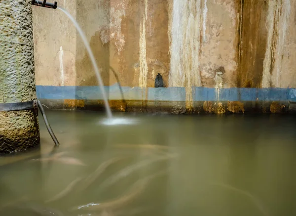 Yerebatan Sarnıcı, bir yeraltı su deposu ve popüler hedef Istanbul, Turkey.11 Nisan 201 havuzda dilek