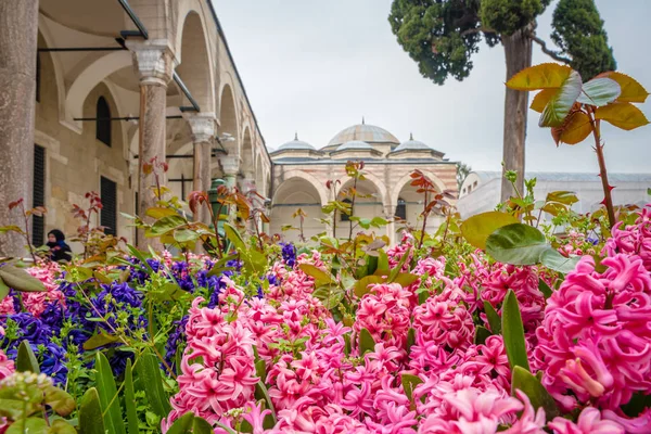Dengan Bunga Latar Depan Tampilan Luar Istana Topkapi Sebuah Tujuan — Stok Foto