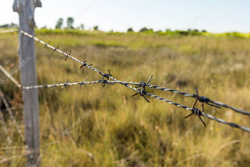A barbed wire fence with wooden post with meadow on background in the countryside