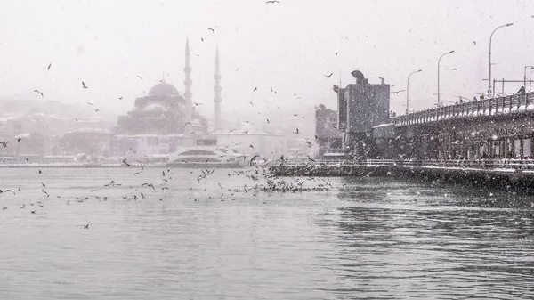 Turkey Istanbul January 2017 Heaviest Snowfall Bul Galata Bridge New — стоковое фото