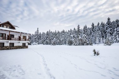 Bulutlu bir sıkıcı gün çam ormanı ile kış manzara görünümü. Ön planda bir dinlenme evi