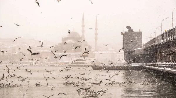 Turquia Istanbul Janeiro 2017 Queda Neve Mais Alta Istambul Ponte — Fotografia de Stock