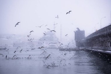 Kışın karlı bir günde boğaz popüler yeni Mosgue ve Galata Bridge.Seagulls uçmaktan kış deniz manzarası görünümü.