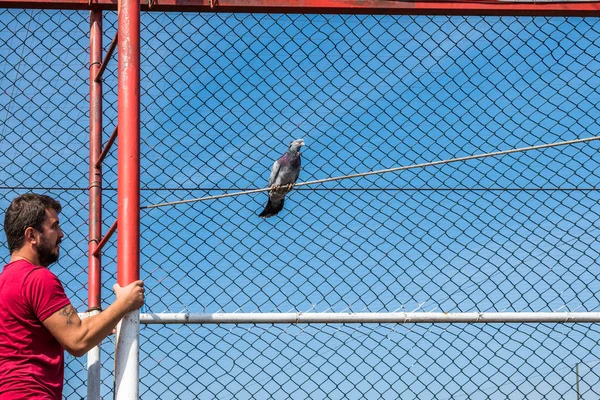 2017 ピジョン バザール イスタンブール トルコ 金網でエスケープされた鳩をキャッチしようとする正体不明の男 — ストック写真