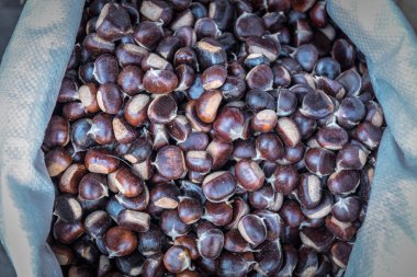 Birçok taze kestane (Castanea sativa) Satılık çanta