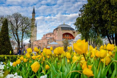 Ayasofya'nın, Yunan Ortodoks Hıristiyan Patriklik Bazilikası'na (kilise) arka plan ve ön plan üzerinde renkli lale manzarasına sahip geleneksel Lale Festivali Sultanahmet Meydanı'nda. Istanbul,Turkey.04 Nisan, 2017