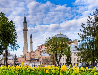 Sultanahmet Meydanı, park, Ayasofya Sophia, bir Yunan Ortodoks Hıristiyan Patriklik Bazilikası'na (kilise) arka plan ve foreground.tourists üzerinde renkli lale manzarasına sahip geleneksel Lale Festivali ziyaret ve zaman harcamak. Türkiye, Istanbul, Nisan 4,2017