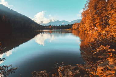 Yumuşak Sonbahar manzara turistler, yerliler, kampçılar ve Doğu Karadeniz, Savsat, Artvin, Türkiye'de seyahat etmek için popüler bir hedef Karagol (siyah göl) görüntülemek.