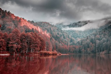 Yumuşak Sonbahar manzara turistler, yerliler, kampçılar ve Doğu Karadeniz, Savsat, Artvin, Türkiye'de seyahat etmek için popüler bir hedef Karagol (siyah göl) görüntülemek.