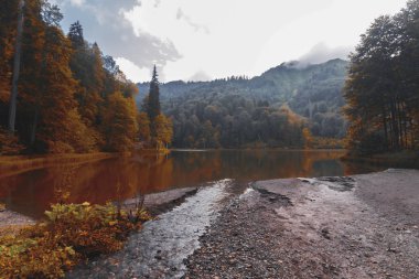 Yumuşak Sonbahar manzara turistler, yerliler, kampçılar ve Doğu Karadeniz, Savsat, Artvin, Türkiye'de seyahat etmek için popüler bir hedef Karagol (siyah göl) görüntülemek.