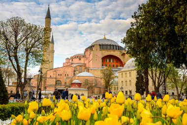 Sultanahmet Meydanı, park, Ayasofya Sophia, bir Yunan Ortodoks Hıristiyan Patriklik Bazilikası'na (kilise) arka plan ve foreground.tourists üzerinde renkli lale manzarasına sahip geleneksel Lale Festivali ziyaret ve zaman harcamak. Türkiye, Istanbul, Nisan 4,2017
