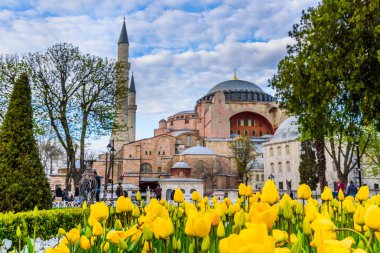Sultanahmet Meydanı, park, Ayasofya Sophia, bir Yunan Ortodoks Hıristiyan Patriklik Bazilikası'na (kilise) arka plan ve foreground.tourists üzerinde renkli lale manzarasına sahip geleneksel Lale Festivali ziyaret ve zaman harcamak. Türkiye, Istanbul, Nisan 4,2017