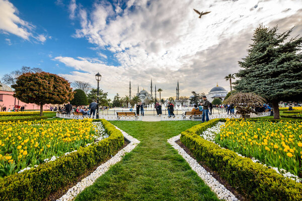 Традиционный фестиваль тюльпанов в парке Султанахмет с видом на мечеть Султана Ахмета (Голубая мечеть) на заднем плане и красочные тюльпаны на переднем плане.
