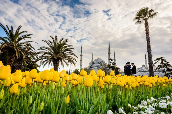 Geleneksel Lale Festivali Sultanahmet Meydanı Parkı Manzaralı Sultan Ahmet Mosque — Stok fotoğraf