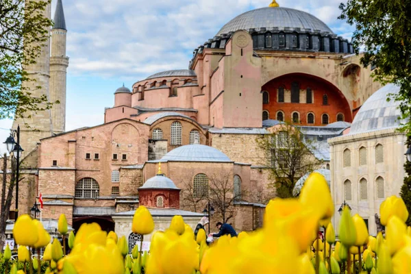 Festival Tulipas Tradicional Praça Sultanahmet Parque Com Vista Para Hagia — Fotografia de Stock