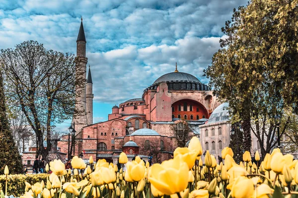 Festival Tulipas Tradicional Praça Sultanahmet Parque Com Vista Para Hagia — Fotografia de Stock