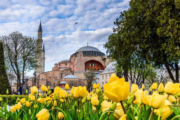 Fiesta Tradicional Del Tulipán Plaza Sultanahmet Parque Con Vista Hagia —  Fotos de Stock