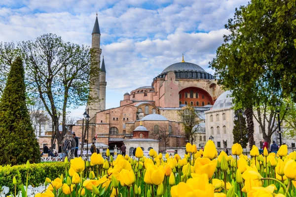 Festival Tulipas Tradicional Praça Sultanahmet Parque Com Vista Para Hagia — Fotografia de Stock