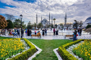 Geleneksel Lale Festivali Sultanahmet Meydanı Parkı manzaralı Sultan Ahmet Mosque(Blue Mosque) arka plan ve ön plan üzerinde renkli Lale. Istanbul, Türkiye-Nisan 4,2017