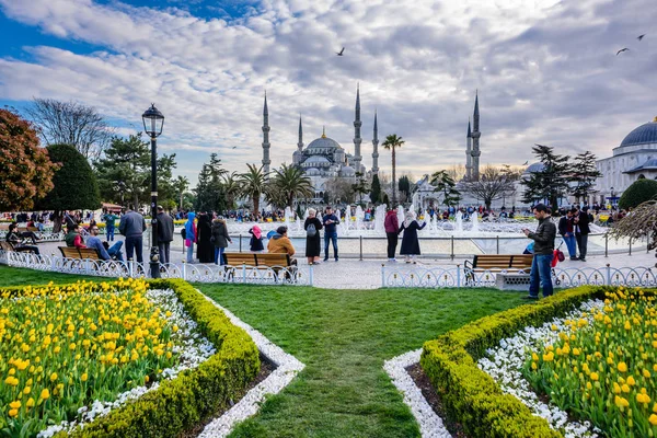 スルタン アフメット Mosque Blue Mosque の背景と前景の色鮮やかなチューリップを望む伝統的なチューリップ スルタンアフメット広場公園まつり イスタンブール トルコ 2017 — ストック写真