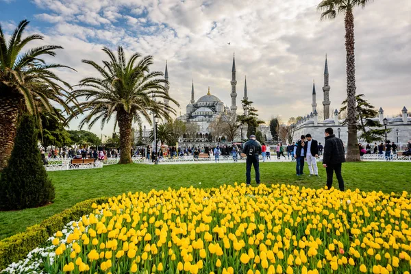 Geleneksel Lale Festivali Sultanahmet Meydanı, park, sultan ahmet Camii (Sultanahmet Camii) arka plan üzerinde manzarasına sahip ve foreground.tourists üzerinde renkli lale ziyaret etmek ve harcamak zaman: Türkiye, Istanbul, Nisan 4,2017