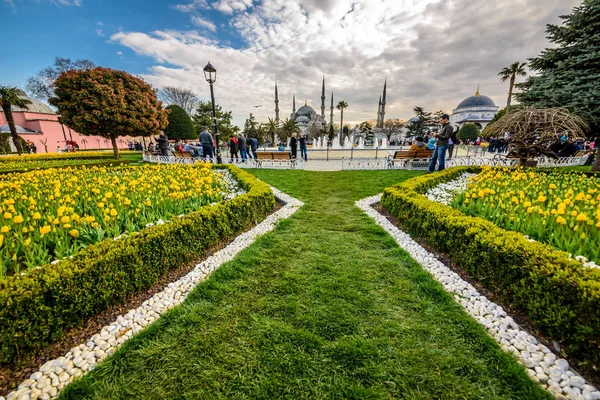 Festival Tulip Tradisional Alun Alun Sultanahmet Taman Dengan Pemandangan Sultan — Stok Foto