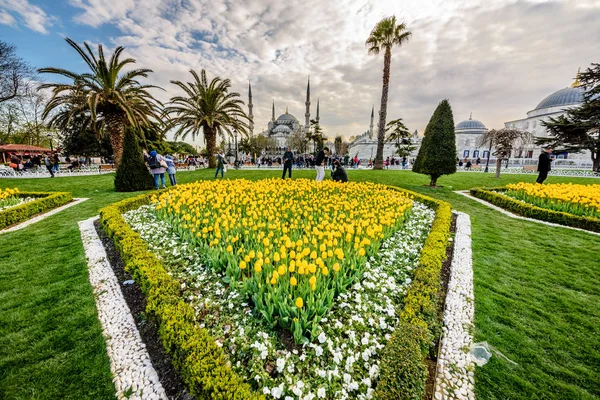 Hagyományos Tulip Fesztivál Sultanahmet Tér Park Kilátással Sultan Ahmet Camii — Stock Fotó