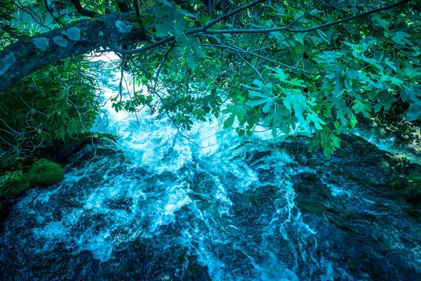 배경의 공원에서 Sibenik 크로아티아의 크로아티아 하나에 — 스톡 사진