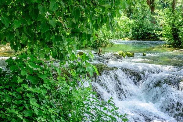 Göl yeşil yeşillik içinde Milli Park Krka, Sibenik, Hırvatistan'daki Hırvat milli parkları zemin üzerine
