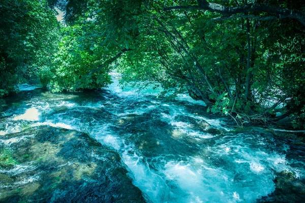 Lago Fondo Del Follaje Verde Parque Nacional Krka Uno Los —  Fotos de Stock