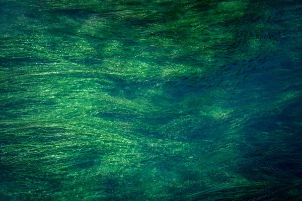 Schoon Water Van Krka National Park Één Van Kroatische Nationale — Stockfoto