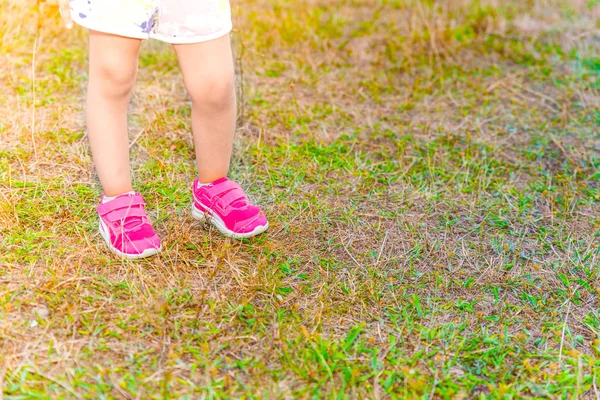 Legs of a little girl stands on green grass on soil ground in day time.