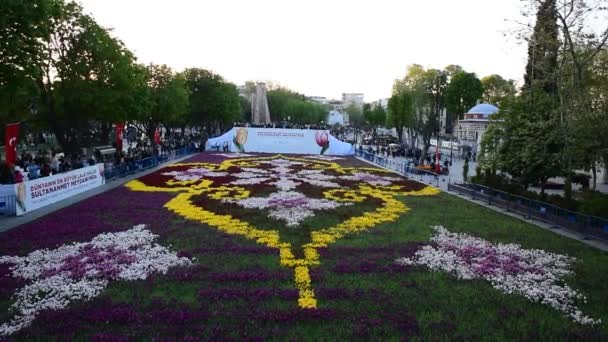 Des Personnes Non Identifiées Prennent Des Photos Grand Tapis Tulipes — Video