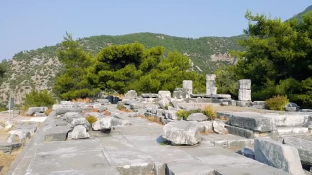 Panoramisch Uitzicht Van Athena Tempel Van Oud Griekse Stad Priene — Stockvideo