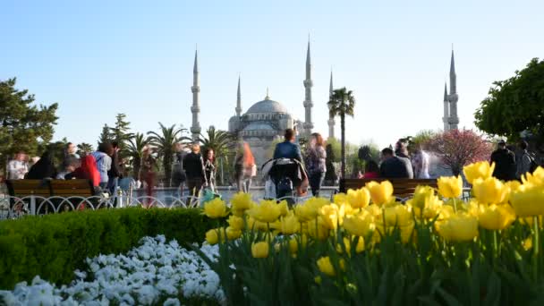 Time Lapse Personas Identificadas Caminan Alrededor Fuente Frente Mezquita Sultanahmet — Vídeos de Stock