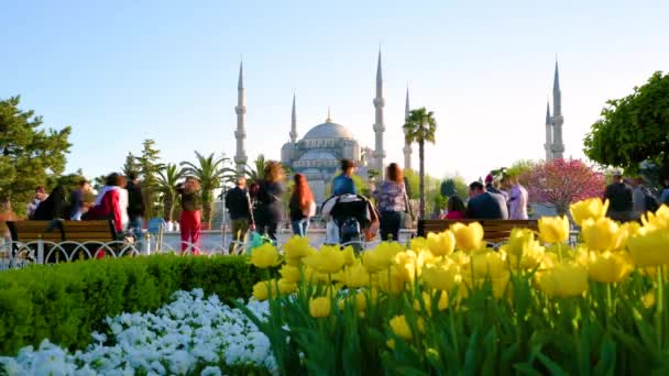 Zaman Atlamalı Sultanahmet Camii Veya Sultanahmet Camii Önünde Çeşme Etrafında — Stok video