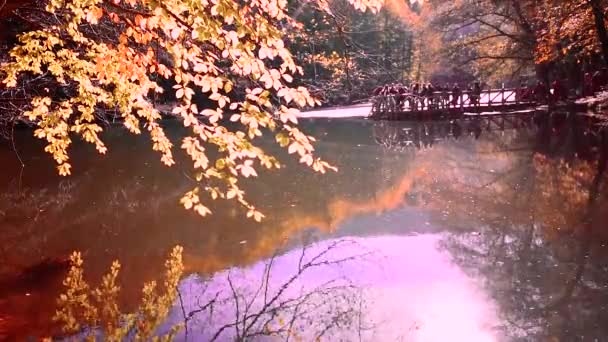 人们探索叶迪戈勒国家公园 金色的秋天场景 阳光照耀着湖面 秋天森林景观 户外秋季概念 — 图库视频影像