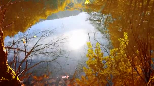 Gyllene Höst Scen Solen Skiner Över Sjön Hösten Skogslandskapet Utomhus — Stockvideo