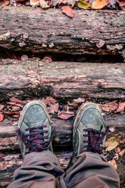 Üstten görünüm Ayakkabı çürük günlükleri yolda izleme sarı ve kırmızı düşen yapraklar sonbahar Park, kopya alanı ile kaplı