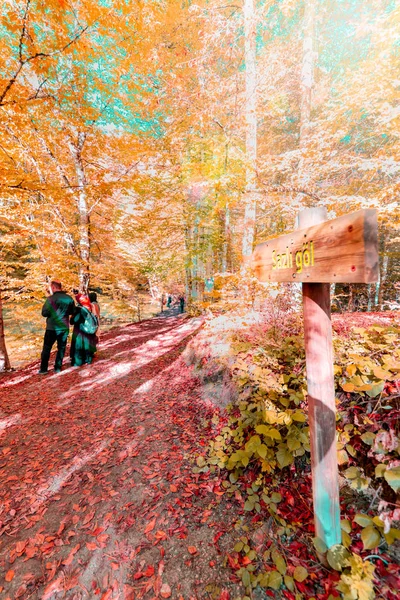 People Visit Sazli Gol Sedge Lake Yedigoller Nature Park Popular — Stock Photo, Image