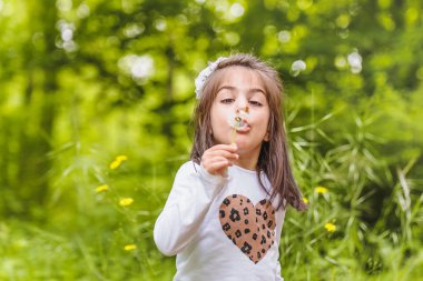 sevimli küçük kız bir karahindiba yabani çiçek darbeler