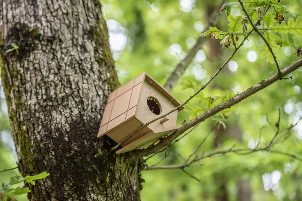 Handmade wooden birdhouse on a tree