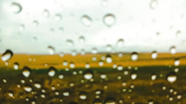 Капля Дождя Стекло Машины Вид Поле Через Окно Автомобиля Капельками — стоковое видео