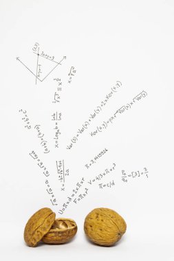 Kısaca ifade matematik kavramı. Matematiksel formüller ile ceviz beyaz kağıt üzerine çizilmiş